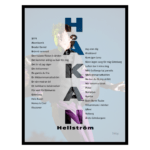 Håkan Hellström tavla poster
