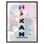 Håkan Hellström tavla poster